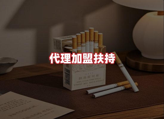 专业团队